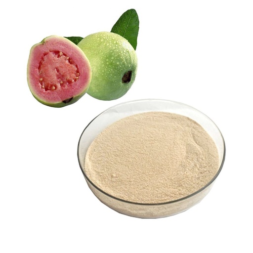 Spray Dried Guava Powder